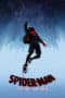 Nonton film Spider-Man: Into the Spider-Verse (2018) terbaru di Dutamovie21 Nonton film Spider-Man: Into the Spider-Verse (2018) terbaru di Dutamovie21
