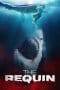 Nonton film The Requin (2022) terbaru di Dutamovie21 Nonton film The Requin (2022) terbaru di Dutamovie21