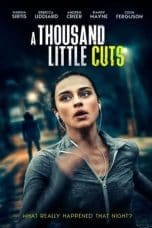 Nonton film A Thousand Little Cuts (2022) terbaru di Dutamovie21