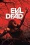 Nonton film Evil Dead (2013) terbaru di Dutamovie21 Nonton film Evil Dead (2013) terbaru di Dutamovie21