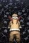 Nonton film My Hero Academia Season 6 Episode 3 terbaru di Dutamovie21 Nonton film My Hero Academia Season 6 Episode 3 terbaru di Dutamovie21