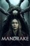 Nonton film Mandrake (2022) terbaru di Dutamovie21