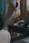 Nonton film The Great Shaman Ga Doo-shim Season 1 Episode 8 terbaru di Dutamovie21 Nonton film The Great Shaman Ga Doo-shim Season 1 Episode 8 terbaru di Dutamovie21