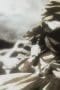 Nonton film Hunter x Hunter Season 1 Episode 37 terbaru di Dutamovie21 Nonton film Hunter x Hunter Season 1 Episode 37 terbaru di Dutamovie21