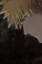 Nonton film Bleach Thousand-Year Blood War Season 1 Episode 13 terbaru di Dutamovie21 Nonton film Bleach Thousand-Year Blood War Season 1 Episode 13 terbaru di Dutamovie21