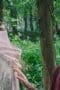 Nonton film His Dark Materials Season 3 Episode 3 terbaru di Dutamovie21 Nonton film His Dark Materials Season 3 Episode 3 terbaru di Dutamovie21
