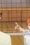 Nonton film Haikyu!! Season 1 Episode 4 terbaru di Dutamovie21 Nonton film Haikyu!! Season 1 Episode 4 terbaru di Dutamovie21