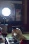 Nonton film Kingdom Season 2 Episode 4 terbaru di Dutamovie21 Nonton film Kingdom Season 2 Episode 4 terbaru di Dutamovie21