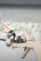 Nonton film Inuyashiki: Last Hero Season 1 Episode 1 terbaru di Dutamovie21 Nonton film Inuyashiki: Last Hero Season 1 Episode 1 terbaru di Dutamovie21