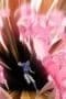 Nonton film Eyeshield 21 Season 1 Episode 122 terbaru di Dutamovie21 Nonton film Eyeshield 21 Season 1 Episode 122 terbaru di Dutamovie21
