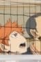 Nonton film Haikyu!! Season 2 Episode 21 terbaru di Dutamovie21 Nonton film Haikyu!! Season 2 Episode 21 terbaru di Dutamovie21