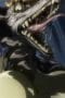 Nonton film Hunter x Hunter Season 2 Episode 123 terbaru di Dutamovie21 Nonton film Hunter x Hunter Season 2 Episode 123 terbaru di Dutamovie21