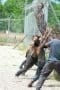 Nonton film The Walking Dead Season 4 Episode 2 terbaru di Dutamovie21 Nonton film The Walking Dead Season 4 Episode 2 terbaru di Dutamovie21