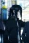Nonton film K-Project Season 1 Episode 1 terbaru di Dutamovie21 Nonton film K-Project Season 1 Episode 1 terbaru di Dutamovie21
