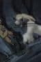Nonton film Naruto Season 4 Episode 164 terbaru di Dutamovie21 Nonton film Naruto Season 4 Episode 164 terbaru di Dutamovie21