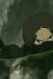Nonton film Avatar: The Last Airbender Season 3 Episode 16 terbaru di Dutamovie21 Nonton film Avatar: The Last Airbender Season 3 Episode 16 terbaru di Dutamovie21
