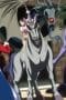 Nonton film Karakuri Circus Season 1 Episode 26 terbaru di Dutamovie21 Nonton film Karakuri Circus Season 1 Episode 26 terbaru di Dutamovie21