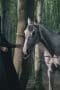 Nonton film The Protector Season 4 Episode 3 terbaru di Dutamovie21 Nonton film The Protector Season 4 Episode 3 terbaru di Dutamovie21