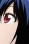 Nonton film Nisekoi Season 2 Episode 2 terbaru di Dutamovie21 Nonton film Nisekoi Season 2 Episode 2 terbaru di Dutamovie21