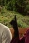 Nonton film Upload Season 1 Episode 2 terbaru di Dutamovie21 Nonton film Upload Season 1 Episode 2 terbaru di Dutamovie21