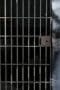 Nonton film The Walking Dead Season 4 Episode 5 terbaru di Dutamovie21 Nonton film The Walking Dead Season 4 Episode 5 terbaru di Dutamovie21