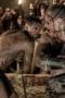 Nonton film Spartacus Season 1 Episode 4 terbaru di Dutamovie21 Nonton film Spartacus Season 1 Episode 4 terbaru di Dutamovie21