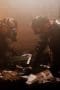 Nonton film True Detective Season 2 Episode 8 terbaru di Dutamovie21 Nonton film True Detective Season 2 Episode 8 terbaru di Dutamovie21