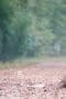 Nonton film The Walking Dead Season 4 Episode 13 terbaru di Dutamovie21 Nonton film The Walking Dead Season 4 Episode 13 terbaru di Dutamovie21