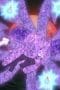 Nonton film Naruto Shippūden Season 18 Episode 384 terbaru di Dutamovie21 Nonton film Naruto Shippūden Season 18 Episode 384 terbaru di Dutamovie21