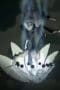 Nonton film Naruto Shippūden Season 18 Episode 379 terbaru di Dutamovie21 Nonton film Naruto Shippūden Season 18 Episode 379 terbaru di Dutamovie21