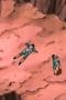Nonton film Naruto Shippūden Season 1 Episode 29 terbaru di Dutamovie21 Nonton film Naruto Shippūden Season 1 Episode 29 terbaru di Dutamovie21