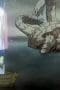 Nonton film Naruto Shippūden Season 5 Episode 99 terbaru di Dutamovie21 Nonton film Naruto Shippūden Season 5 Episode 99 terbaru di Dutamovie21