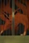 Nonton film Naruto Shippūden Season 15 Episode 327 terbaru di Dutamovie21 Nonton film Naruto Shippūden Season 15 Episode 327 terbaru di Dutamovie21