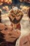 Nonton film Attack on Titan Season 2 Episode 11 terbaru di Dutamovie21 Nonton film Attack on Titan Season 2 Episode 11 terbaru di Dutamovie21