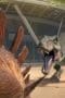 Nonton film Jurassic World: Camp Cretaceous Season 4 Episode 7 terbaru di Dutamovie21 Nonton film Jurassic World: Camp Cretaceous Season 4 Episode 7 terbaru di Dutamovie21