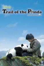 Nonton film Trail of the Panda (2009) terbaru di Dutamovie21