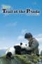 Nonton film Trail of the Panda (2009) terbaru di Dutamovie21 Nonton film Trail of the Panda (2009) terbaru di Dutamovie21