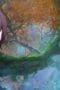 Nonton film A Will Eternal Season 1 Episode 29 terbaru di Dutamovie21 Nonton film A Will Eternal Season 1 Episode 29 terbaru di Dutamovie21
