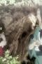 Nonton film Blade of the Immortal Season 1 Episode 4 terbaru di Dutamovie21 Nonton film Blade of the Immortal Season 1 Episode 4 terbaru di Dutamovie21