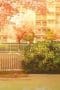Nonton film Your Lie in April Season 1 Episode 22 terbaru di Dutamovie21 Nonton film Your Lie in April Season 1 Episode 22 terbaru di Dutamovie21