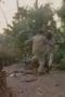 Nonton film Power Rangers Wild Force Season 1 Episode 26 terbaru di Dutamovie21 Nonton film Power Rangers Wild Force Season 1 Episode 26 terbaru di Dutamovie21