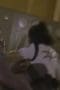 Nonton film Power Rangers Wild Force Season 1 Episode 24 terbaru di Dutamovie21 Nonton film Power Rangers Wild Force Season 1 Episode 24 terbaru di Dutamovie21