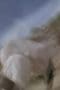 Nonton film Power Rangers Wild Force Season 1 Episode 16 terbaru di Dutamovie21 Nonton film Power Rangers Wild Force Season 1 Episode 16 terbaru di Dutamovie21