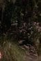 Nonton film Animal Kingdom Season 6 Episode 5 terbaru di Dutamovie21 Nonton film Animal Kingdom Season 6 Episode 5 terbaru di Dutamovie21