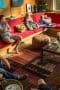 Nonton film Animal Kingdom Season 1 Episode 3 terbaru di Dutamovie21 Nonton film Animal Kingdom Season 1 Episode 3 terbaru di Dutamovie21