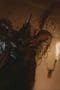 Nonton film Power Rangers Wild Force Season 1 Episode 15 terbaru di Dutamovie21 Nonton film Power Rangers Wild Force Season 1 Episode 15 terbaru di Dutamovie21