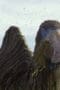 Nonton film Prehistoric Planet Season 1 Episode 3 terbaru di Dutamovie21 Nonton film Prehistoric Planet Season 1 Episode 3 terbaru di Dutamovie21