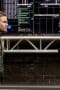 Nonton film Arrow Season 6 Episode 12 terbaru di Dutamovie21 Nonton film Arrow Season 6 Episode 12 terbaru di Dutamovie21