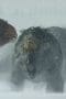 Nonton film Prehistoric Planet Season 1 Episode 4 terbaru di Dutamovie21 Nonton film Prehistoric Planet Season 1 Episode 4 terbaru di Dutamovie21