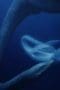 Nonton film Prehistoric Planet Season 1 Episode 1 terbaru di Dutamovie21 Nonton film Prehistoric Planet Season 1 Episode 1 terbaru di Dutamovie21